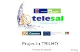 23.11.07 1º Workshop TELESAL Projecto TRILHO. 2 TRILHO Concepção de Roteiros de Aprendizagem para Plataformas de eLearning - uma abordagem sistémica baseada.