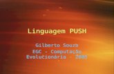 Linguagem PUSH Gilberto Souza EGC - Computação Evolucionária - 2005 Gilberto Souza EGC - Computação Evolucionária - 2005.
