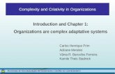 Complexity and Criativity in Organizations Introduction and Chapter 1: Organizations are complex adaptative systems Carlos Henrique Prim Adriane Mendes.
