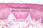 Histofisiologia Tecido epitelial Profª Marília Scopel Andrighetti.