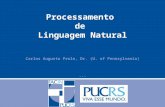 Processamento de Linguagem Natural Carlos Augusto Prolo, Dr. (U. of Pennsylvania)...