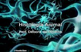 Histologia Animal Prof. Débora de Oliveira. Tecidos Conjunto de células diferenciadas e adaptadas a uma determina função. Conjunto de células diferenciadas.
