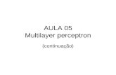 AULA 05 Multilayer perceptron (continuação). Os algoritmos de treinamento de perceptrons multicamadas podem ser classificados nos seguintes itens: Primeira.