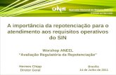 11 A importância da repotenciação para o atendimento aos requisitos operativos do SIN Worshop ANEEL Avaliação Regulatória da Repotenciação Brasília 14.