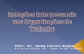 Profa. DSc. Raquel Ferreira Miranda Professora Adjunto UFV – Campus de Rio Paranaíba.