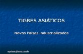 Mprimac@terra.com.br TIGRES ASIÁTICOS Novos Países Industrializados.