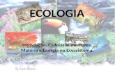 ECOLOGIA Introdução, Cadeias alimentares, Matéria e Energia no Ecossistema.