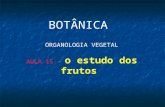 BOTÂNICA ORGANOLOGIA VEGETAL AULA 15 – o estudo dos frutos.