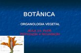 BOTÂNICA ORGANOLOGIA VEGETAL AULA 14- FLOR Polinização e fecundação.