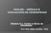 Módulo 6.1. Ciclos e Giros de Atividades Prof. MsC Wilter Furtado - 2012.
