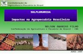 Novembro – 2008 SULFLURAMIDA Impactos na Agropecuária Brasileira SULFLURAMIDA Impactos na Agropecuária Brasileira NELSON ANANIAS FILHO Confederação da.