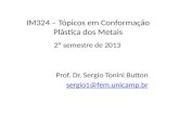 IM324 – Tópicos em Conformação Plástica dos Metais 2º semestre de 2013 Prof. Dr. Sergio Tonini Button sergio1@fem.unicamp.br.