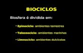 BIOCICLOS Biosfera é dividida em: Epinociclo : ambientes terrestres Talassociclo : ambientes marinhos Limnociclo: ambientes dulcícolas.