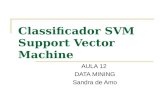Classificador SVM Support Vector Machine AULA 12 DATA MINING Sandra de Amo.