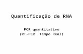 Quantificação de RNA PCR quantitativo (RT-PCR Tempo Real)