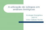 A utilização de isótopos em análises biológicas Ecologia Energética 2007/2 Victor Sábato Rocha.