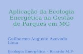 Aplicação da Ecologia Energética na Gestão de Parques em MG Guilherme Augusto Azevedo Lima Ecologia Energética – Ricardo M.P-C.