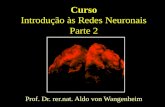 Curso Introdução às Redes Neuronais Parte 2 Prof. Dr. rer.nat. Aldo von Wangenheim.