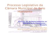 Processo Legislativo da Câmara Municipal de Belo Horizonte Divisão de Assessoramento ao Plenário e às Comissões – DIVAPC Luzia de Carvalho Pires Maria.