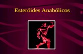 Esteróides Anabólicos. Histórico Conceito Esteróides anabólicos são substâncias derivadas do colesteról (esteróides), sintéticos, que imitam a testosterona.