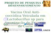 Vacina Oral Anti-coccídica Veiculada em Lactobacillus sp para Imunização de Frangos de Corte Depto Biologia Geral Depto Microbiologia Depto Bioquímica-Imunologia.
