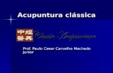Acupuntura clássica Prof. Paulo Cesar Carvalho Machado Junior.