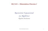 BCC101 Matemática Discreta I 1 BCC101 – Matemática Discreta I Raciocínio Equacional ou Algébrico Álgebra Booleana.