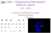 LMA – Diagnóstico laboratorial Nydia S. Bacal LMA – OMS Leucemia Promielocítica Aguda LMA M3 clássica LMA M3 variante.