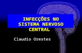 INFECÇÕES NO SISTEMA NERVOSO CENTRAL Claudio Orestes.