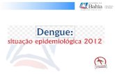 DENV2 DENV1 DENV3 DENV 1, 2, 3 e 4 Fonte: SINAN – GT-Dengue/DIVEP/SESAB Dados sujeitos a alterações 1.522 casos.
