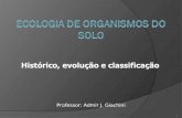 1 Histórico, evolução e classificação Professor: Admir J. Giachini.
