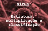 Vírus: Estrutura, multiplicação e classificação. vírus (latim) = veneno 1392: na Inglaterra o primeiro relato sobre vírus = veneno 1728: primeiro relato.