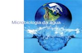 Microbiologia da água. Os microrganismos podem: mudar a composição química da água fornecer nutrientes para outros organismos aquáticos CICLOS DA MATÉRIA.
