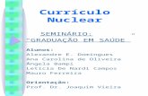 Currículo Nuclear SEMINÁRIO: GRADUAÇÃO EM SAÚDE Alunos: Alexandre E. Domingues Ana Carolina de Oliveira Ângela Bampi Letícia De Nardi Campos Mauro Ferreira.