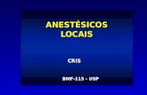 ANESTÉSICOS LOCAIS CRIS BMF-115 - USP. INTRODUÇÃO Os anestésicos locais são agentes que bloqueiam de forma reversível a condução nervosa, quando aplicados.