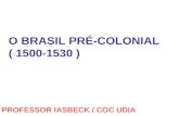 O BRASIL PRÉ-COLONIAL ( 1500-1530 ) PROFESSOR IASBECK / COC UDIA.