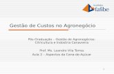 1 Gestão de Custos no Agronegócio Pós-Graduação – Gestão de Agronegócios: Citricultura e Indústria Canavieira Prof. Ms. Leandro Vila Torres Aula 2 – Aspectos.