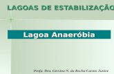LAGOAS DE ESTABILIZAÇÃO Profa. Dra. Gersina N. da Rocha Carmo Junior Lagoa Anaeróbia.