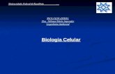 BIOLOGIA GERAL Dra. Adriana Maria Imperador Engenharia Ambiental Universidade Federal de Rondônia __________ Biologia Celular.