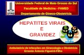 HEPATITES VIRAIS E GRAVIDEZ HEPATITES VIRAIS E GRAVIDEZ Universidade Federal de Mato Grosso do Sul Faculdade de Medicina - FAMED Departamento de Gineco-Obstetrícia.