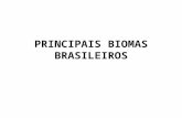 PRINCIPAIS BIOMAS BRASILEIROS. Biomas são grandes estruturas ecológicas com fisionomias distintas encontradas nos diferentes continentes, caracterizados.