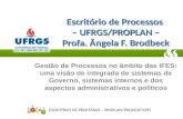 ESCRITÓRIO DE PROCESSOS – PROPLAN/PROGESP/CPD Escritório de Processos – UFRGS/PROPLAN – Profa. Ângela F. Brodbeck Gestão de Processos no âmbito das IFES: