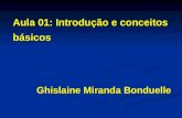 Aula 01: Introdução e conceitos básicos Ghislaine Miranda Bonduelle.