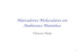 1 Marcadores Moleculares em Ambientes Marinhos Vanessa Hatje.