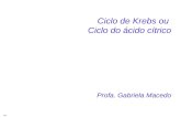 1 WF Ciclo de Krebs ou Ciclo do ácido cítrico Profa. Gabriela Macedo.