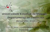 Profª Drª Maria Luiza Rodrigues de Souza Zootecnista Universidade Estadual de Maringá Departamento de Zootecnia Maringá (PR) - Brasil.