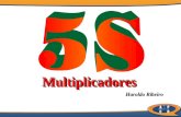 Haroldo Ribeiro Haroldo Ribeiro MultiplicadoresMultiplicadores.