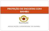 ASSOCIAÇÃO CATARINENSE DO BAMBU PROTEÇÃO DE ENCOSTAS COM BAMBU.