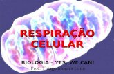 RESPIRAÇÃOCELULAR BIOLOGIA – YES, WE CAN! Prof. Thiago Moraes Lima.