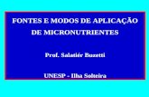 FONTES E MODOS DE APLICAÇÃO DE MICRONUTRIENTES Prof. Salatiér Buzetti UNESP - Ilha Solteira.